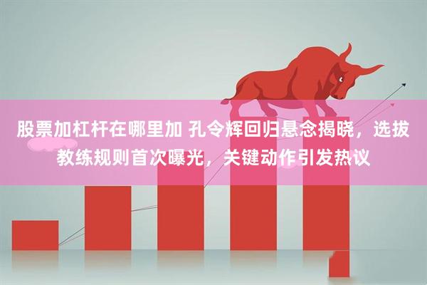 股票加杠杆在哪里加 孔令辉回归悬念揭晓，选拔教练规则首次曝光，关键动作引发热议