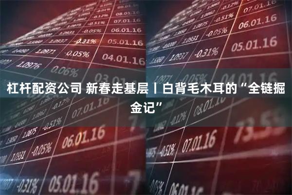 杠杆配资公司 新春走基层丨白背毛木耳的“全链掘金记”