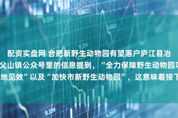 配资实盘网 合肥新野生动物园有望落户庐江县冶父山镇，根据最近的冶父山镇公众号里的信息提到，“全力保障野生动物园项目落地见效”以及“加快市新野生动物园”，这意味着接下来合肥的新动物园真的要来了。