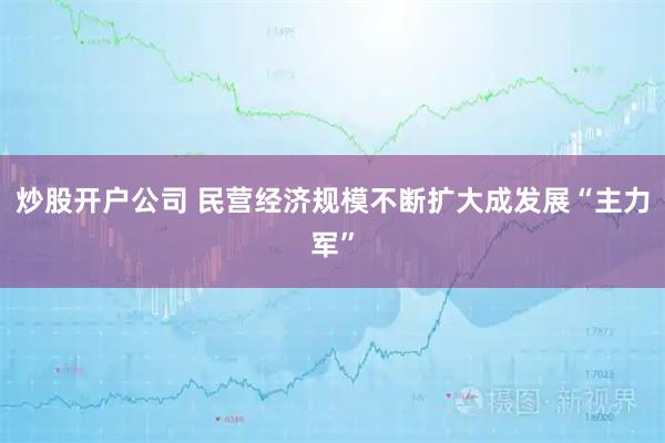炒股开户公司 民营经济规模不断扩大成发展“主力军”